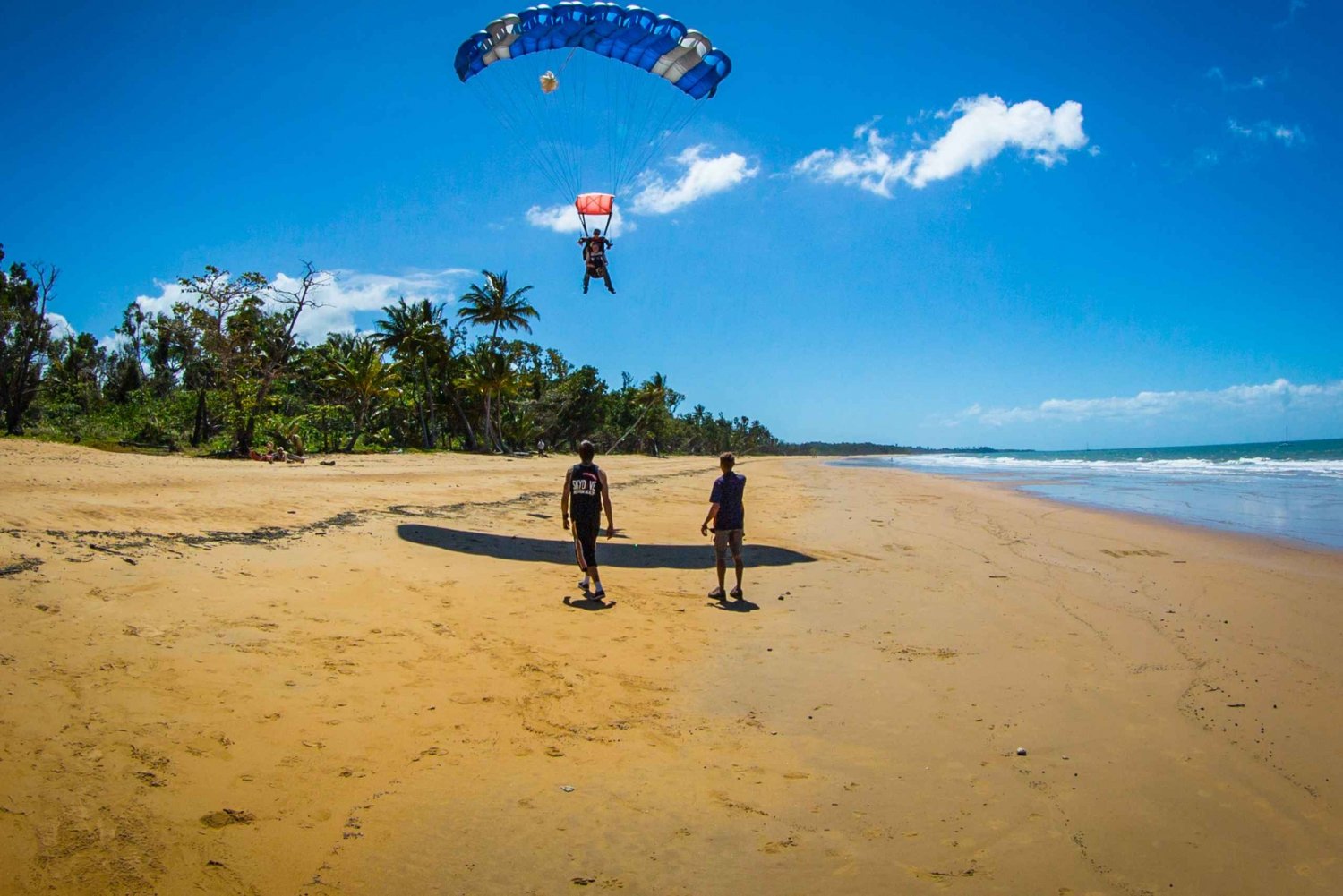 Cairns: Mission Beach Tandem Skydive med transfer