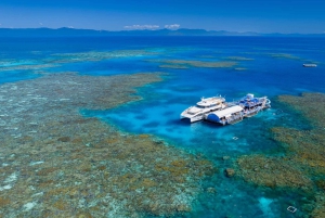 Fra Cairns: Moore Reef, Fitzroy Island Tour med helikopter