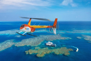 Fra Cairns: Moore Reef, Fitzroy Island Tour med helikopter