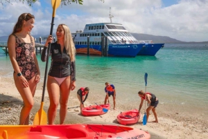 Fra Cairns: Moore Reef, Fitzroy Island Tour med helikopter