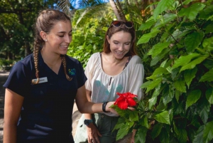 Fra Cairns: Moore Reef, Fitzroy Island Tour med helikopter