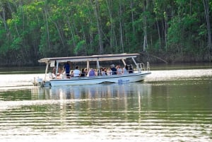 Vanuit Cairns: Mossman Gorge Tour & Daintree Rainforest Cruise