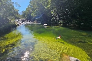 Z Cairns: Wycieczka do wąwozu Mossman i rejs po lesie deszczowym Daintree