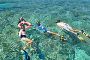 From Cairns: Great Barrier Reef Snorkeling and Diving Tour