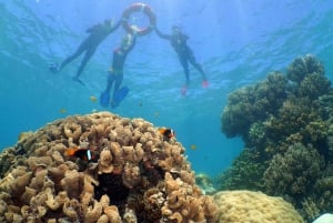 Cairns: Ocean Spirit Great Barrier Reef Full Day Tour