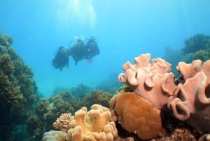 Cairns: Ocean Spirit Great Barrier Reef Full Day Tour