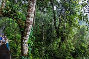 From Cairns: Self-Guided Kuranda Trip with Train and Skyrail