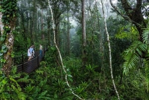 From Cairns: Self-Guided Kuranda Trip with Train and Skyrail