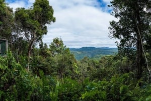 From Cairns: Self-Guided Kuranda Trip with Train and Skyrail