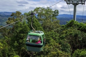 From Cairns: Self-Guided Kuranda Trip with Train and Skyrail