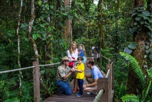 From Cairns: Self-Guided Kuranda Trip with Train and Skyrail