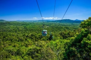 From Cairns: Self-Guided Kuranda Trip with Train and Skyrail