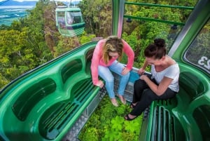 From Cairns: Self-Guided Kuranda Trip with Train and Skyrail