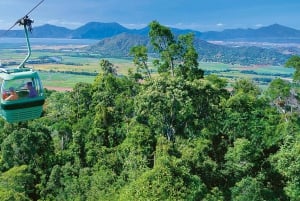 From Cairns: Self-Guided Kuranda Trip with Train and Skyrail