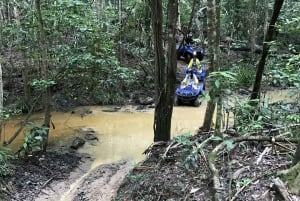 From Cairns: Small Group Quad Bike Rainforest Tour
