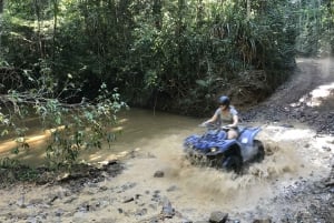 From Cairns: Small Group Quad Bike Rainforest Tour