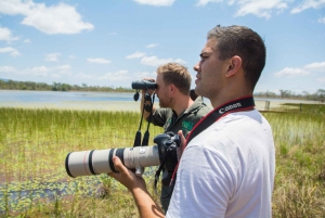 From Full-Day Birdwatching Excursion