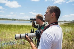 From Cairns: Full-Day Birdwatching Excursion