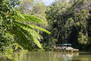 From Full-Day Kuranda Army Duck Experience Tour
