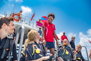 From Great Barrier Reef Snorkeling Experience
