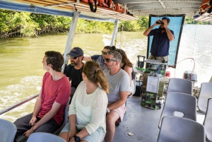 Port Douglas: Daintree-tur på eftermiddagen med guidad kryssning