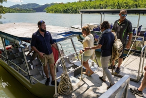 Port Douglas: Daintree-tur på eftermiddagen med guidad kryssning