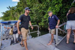 Port Douglas: Daintree-tur på eftermiddagen med guidad kryssning