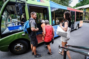 Port Douglas: Daintree-tur på eftermiddagen med guidad kryssning