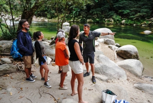 Port Douglas: Daintree-tur på eftermiddagen med guidad kryssning