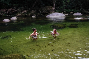 Port Douglas: Daintree-tur på eftermiddagen med guidad kryssning