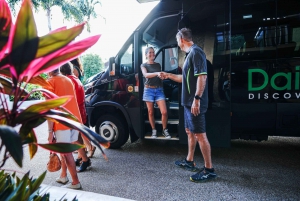 Port Douglas: Daintree-tur på eftermiddagen med guidad kryssning