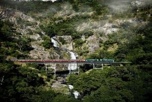 Port Douglasista: Kuranda Tour with Skyrail & Scenic Train -matkalla.