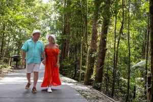 De Port Douglas: Excursão a Kuranda com Skyrail & Scenic Train