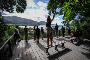 Port Douglas: Daintree, Mossman Gorge & Cape Tribulation