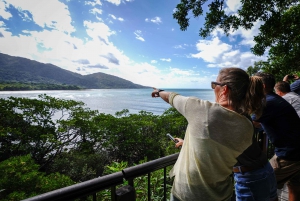 Port Douglas: Daintree, Mossman Gorge & Cape Tribulation