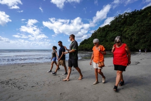 Port Douglas: Daintree, Mossman Gorge & Cape Tribulation