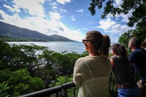 Port Douglas: Daintree, Mossman Gorge & Cape Tribulation