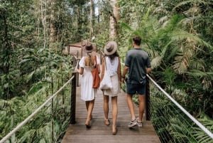Au départ de Sydney : circuit de 16 jours « Le meilleur de la côte est australienne ».