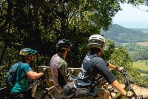 Visite d'une jounée - Randonnée à vélo dans la forêt tropicale jusqu'à Port Douglas