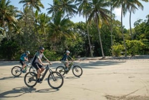 Excursão de 1 dia - Rainforest MTB de bicicleta até Port Douglas