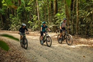 Full Day - Rainforest MTB Tour cycling to Port Douglas