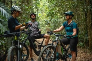 Excursão de 1 dia - Rainforest MTB de bicicleta até Port Douglas