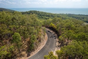 Día completo - Excursión en BTT por la selva tropical en bicicleta hasta Port Douglas