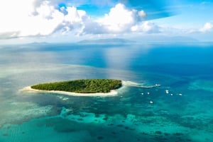 Great Barrier Reef and Rainforest Helicopter Tour