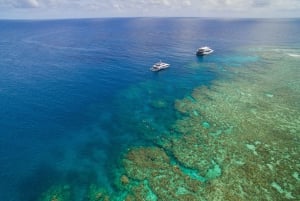 Great Barrier Reef Overnight Snorkel and Dive Trip
