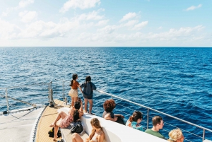 From Cairns: Great Barrier Reef Cruise by Premium Catamaran