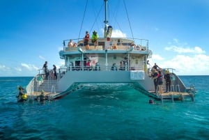 From Cairns: Great Barrier Reef Cruise by Premium Catamaran