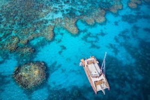 Great Barrier Reef: Premium Catamaran Cruise from Cairns