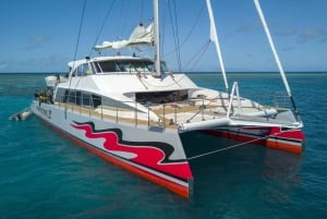 Fra Cairns: Cruise til Great Barrier Reef med katamaran