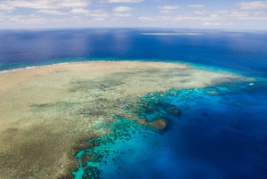 Great Barrier Reef: Heldagstur med snorkling og dykning